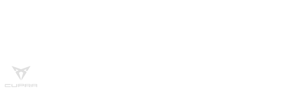 AS Automobile