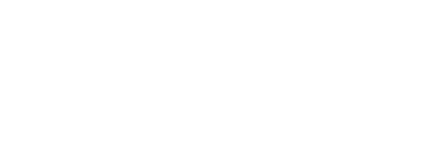AS Automobile